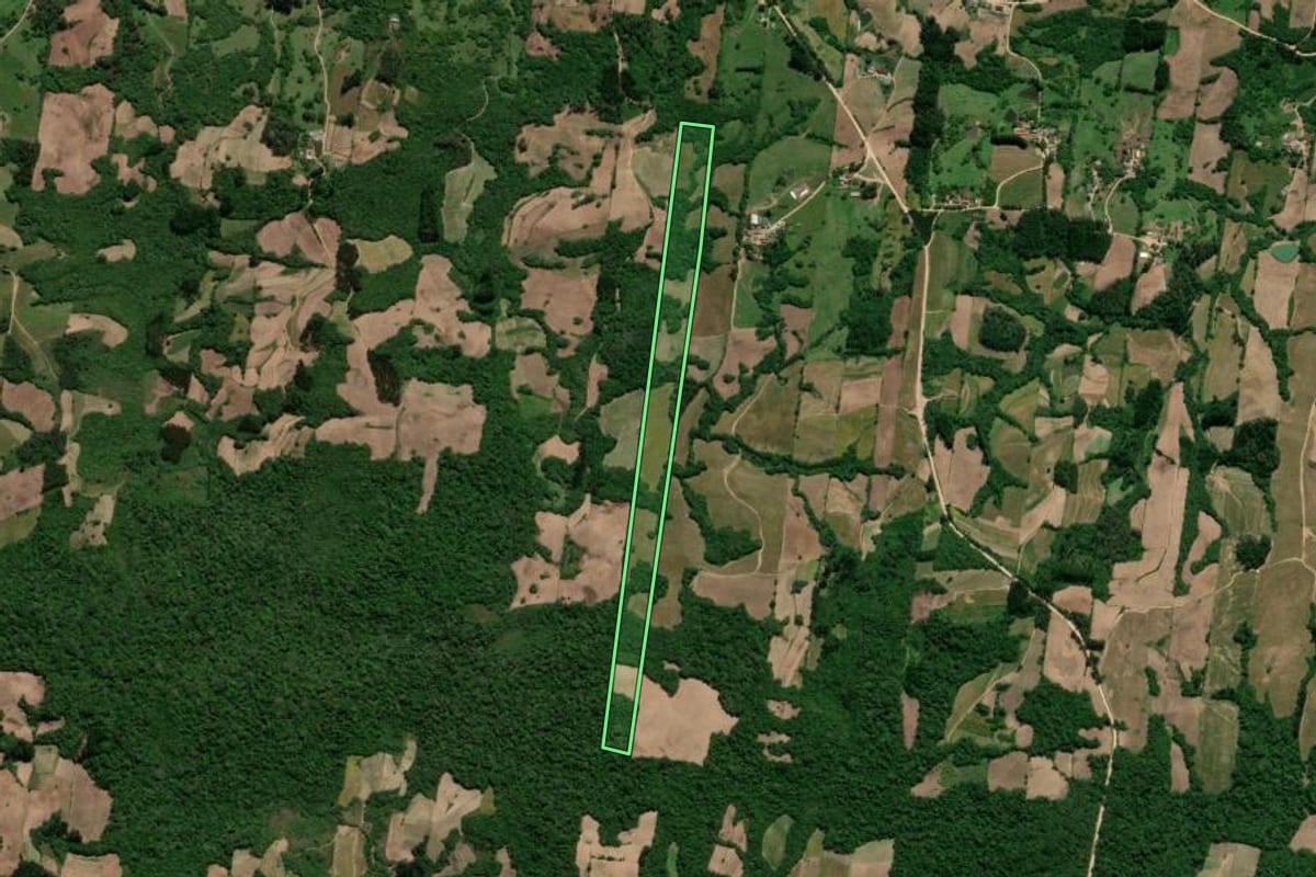 Imagem de satélite do imóvel rural em São Lourenço do Sul (RS), com o contorno declarado no CAR desenhado por cima.