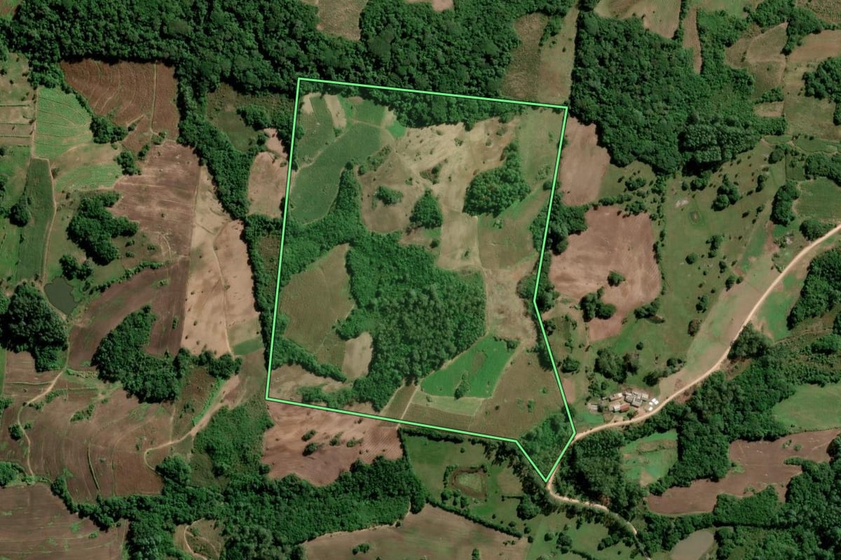 Imagem de satélite do imóvel rural em São Lourenço do Sul (RS), com o contorno declarado no CAR desenhado por cima.