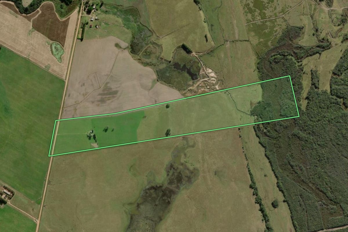 Imagem de satélite do imóvel rural em São Lourenço do Sul (RS), com o contorno declarado no CAR desenhado por cima.
