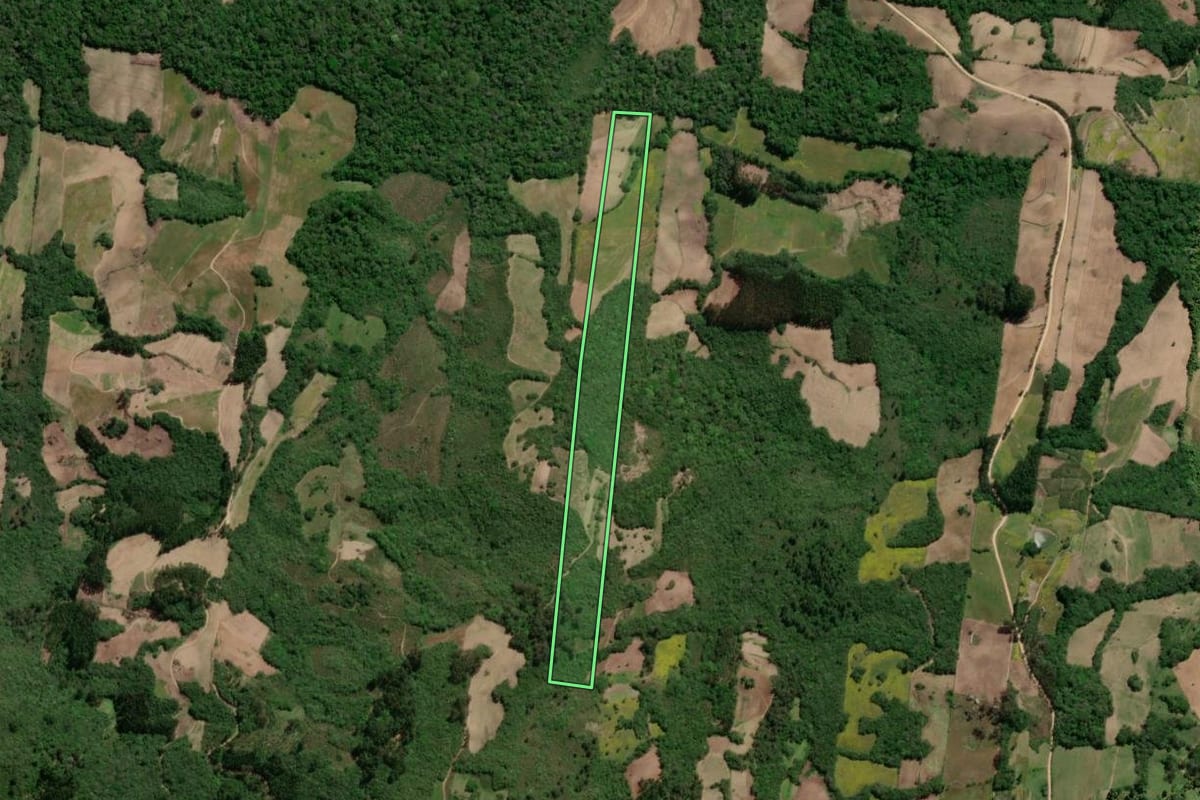 Imagem de satélite do imóvel rural em São Lourenço do Sul (RS), com o contorno declarado no CAR desenhado por cima.
