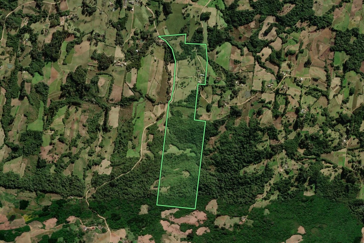 Imagem de satélite do imóvel rural em São Lourenço do Sul (RS), com o contorno declarado no CAR desenhado por cima.
