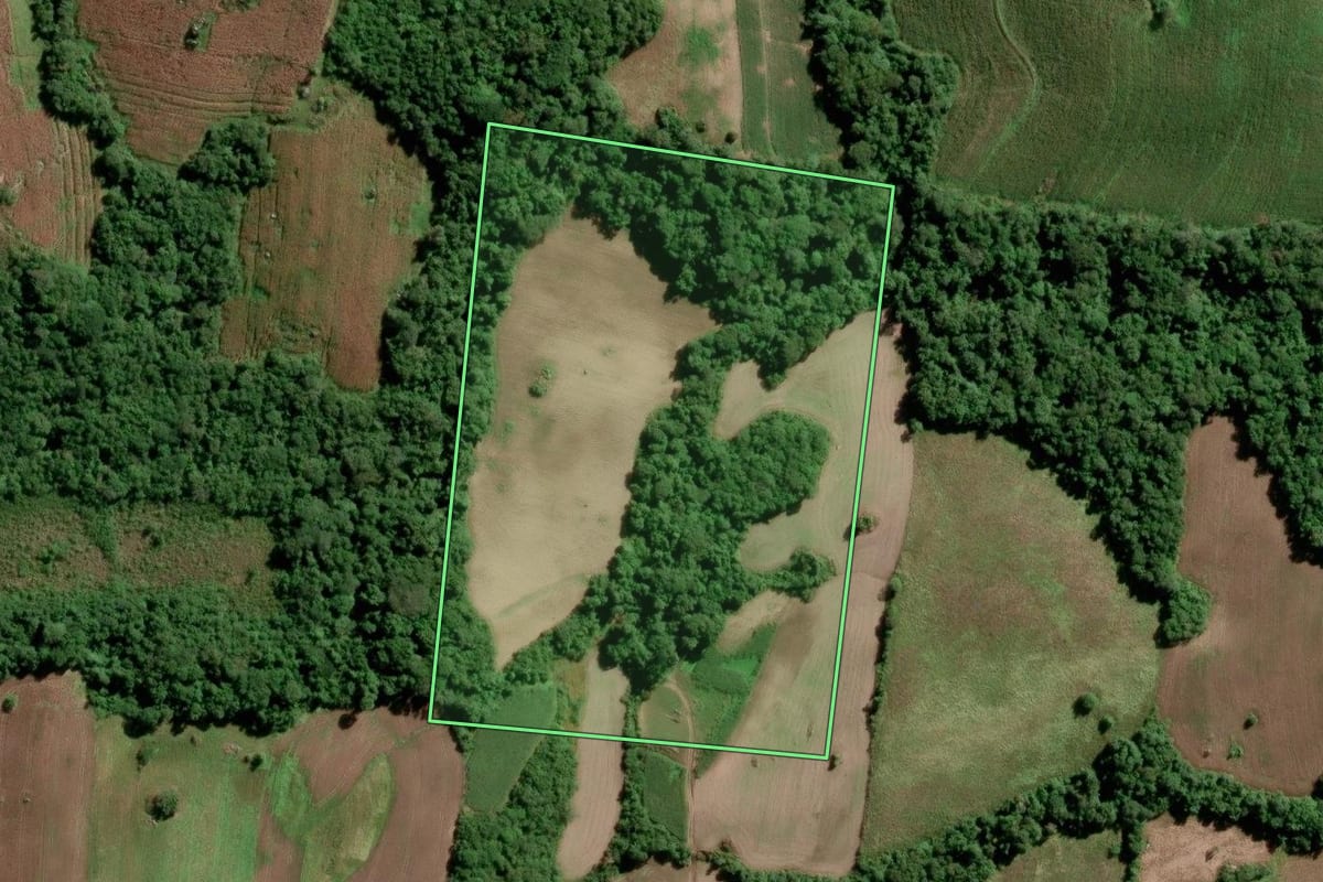 Imagem de satélite do imóvel rural em São Lourenço do Sul (RS), com o contorno declarado no CAR desenhado por cima.