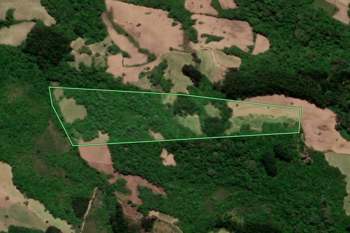 Imagem de satélite do imóvel rural em São Lourenço do Sul (RS), com o contorno declarado no CAR desenhado por cima.