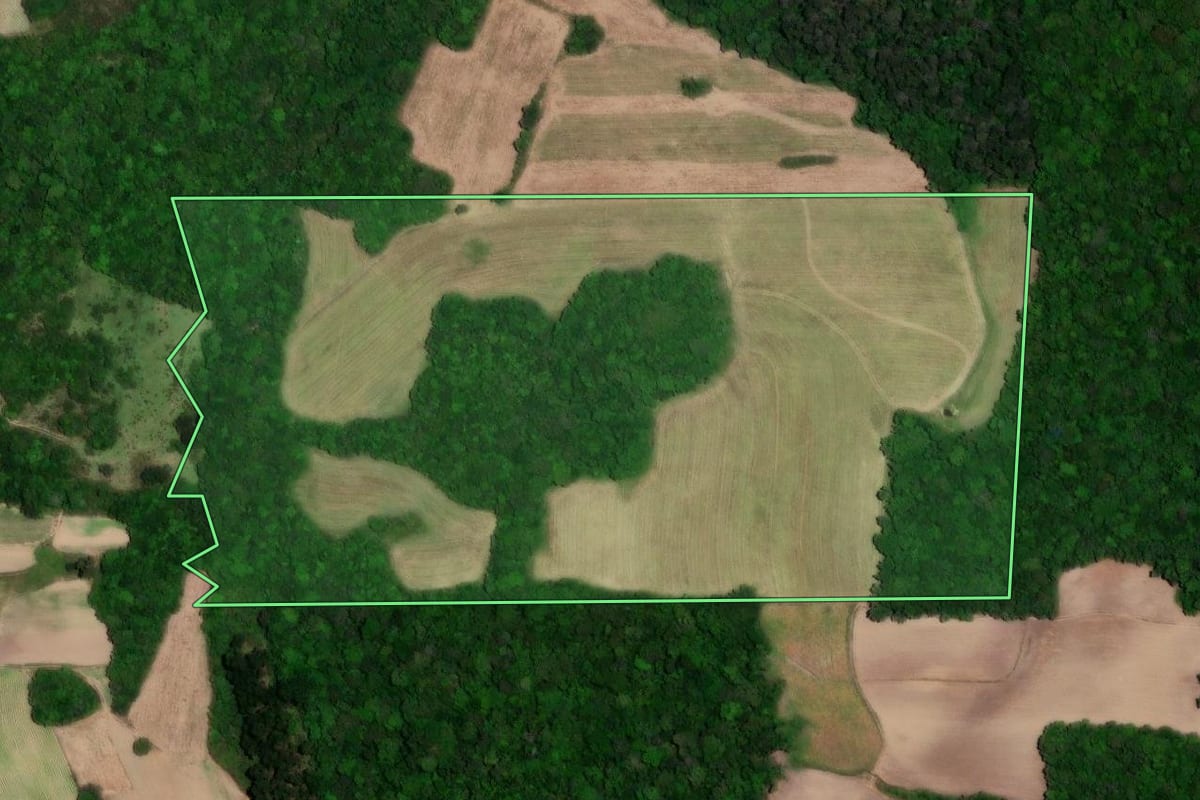 Imagem de satélite do imóvel rural em São Lourenço do Sul (RS), com o contorno declarado no CAR desenhado por cima.