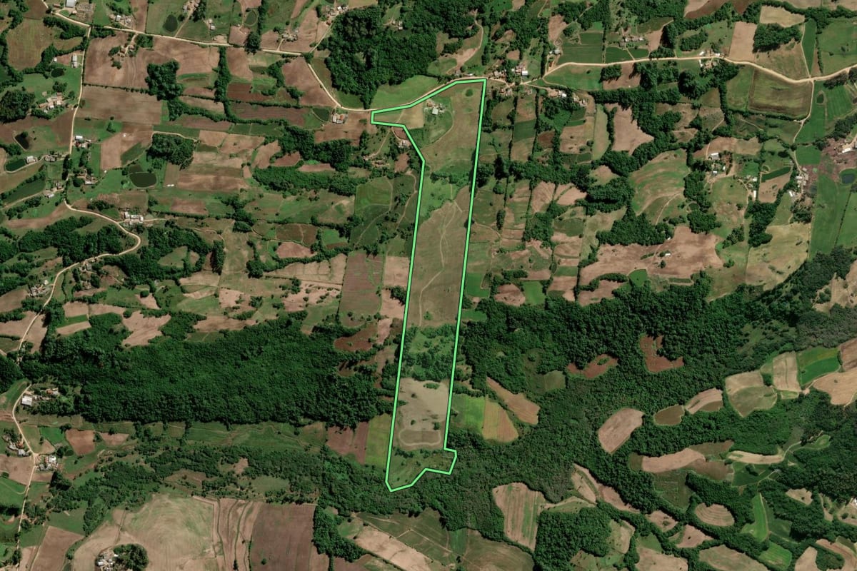 Imagem de satélite do imóvel rural em São Lourenço do Sul (RS), com o contorno declarado no CAR desenhado por cima.