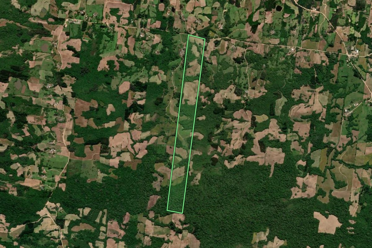 Imagem de satélite do imóvel rural em São Lourenço do Sul (RS), com o contorno declarado no CAR desenhado por cima.