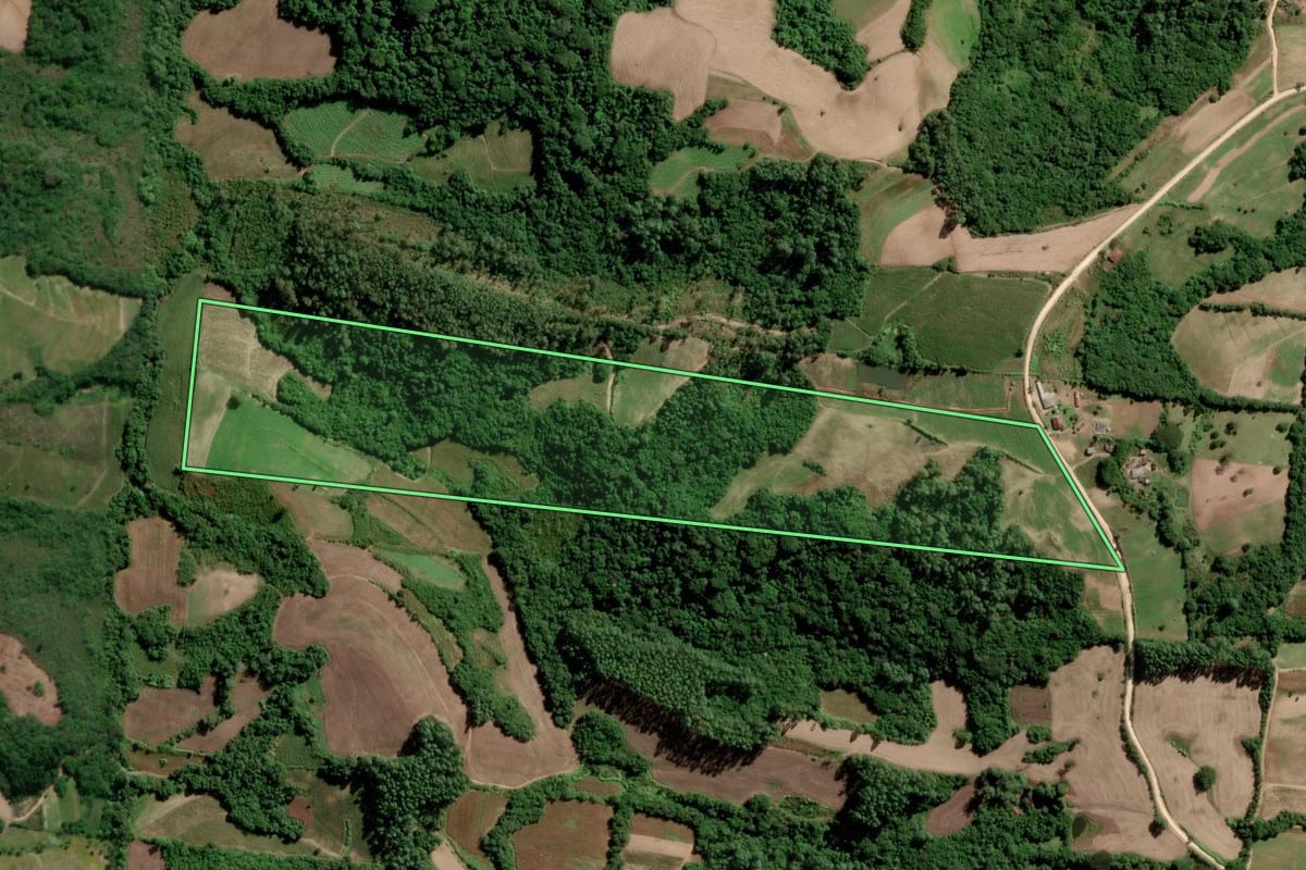 Imagem de satélite do imóvel rural em São Lourenço do Sul (RS), com o contorno declarado no CAR desenhado por cima.
