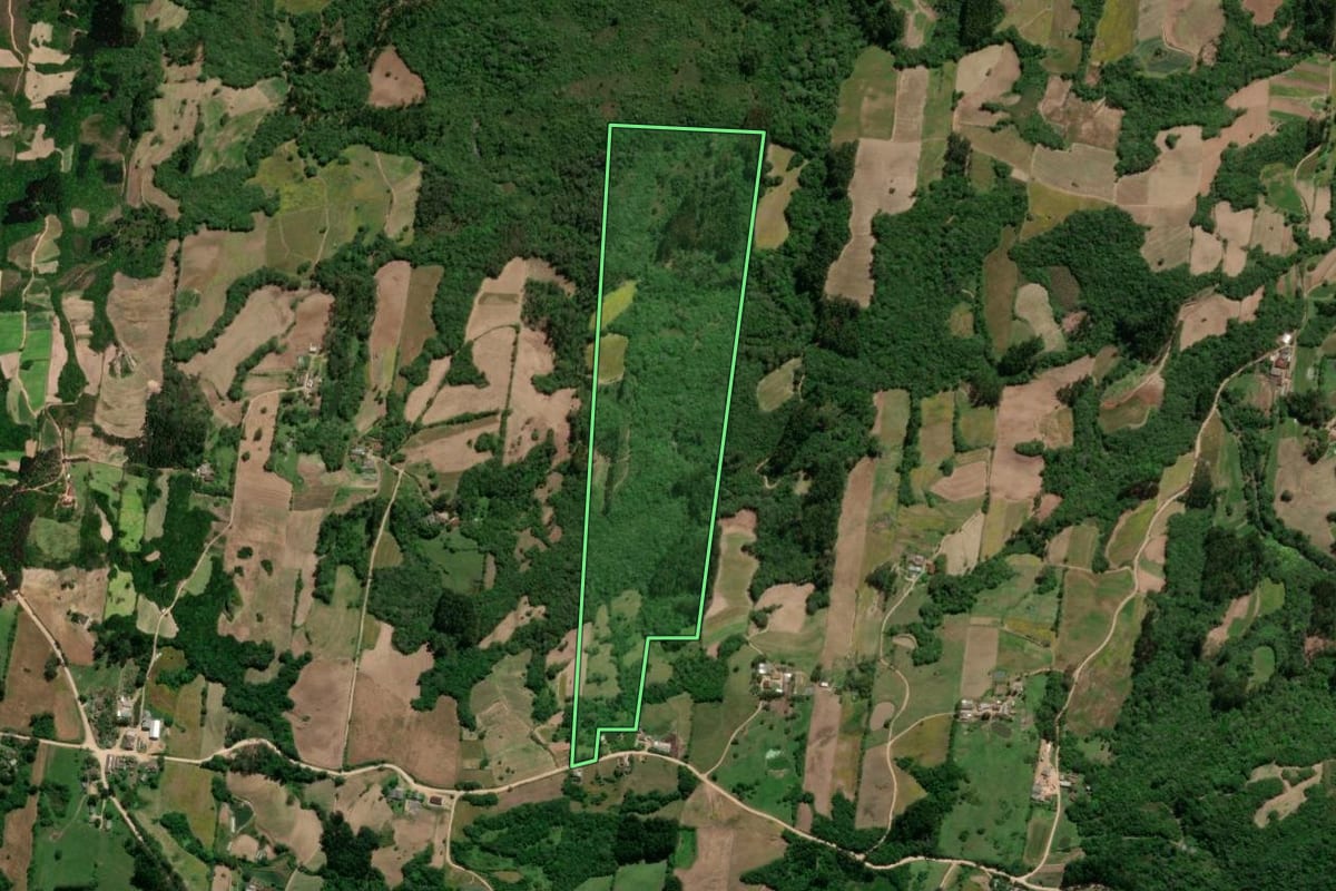 Imagem de satélite do imóvel rural em São Lourenço do Sul (RS), com o contorno declarado no CAR desenhado por cima.