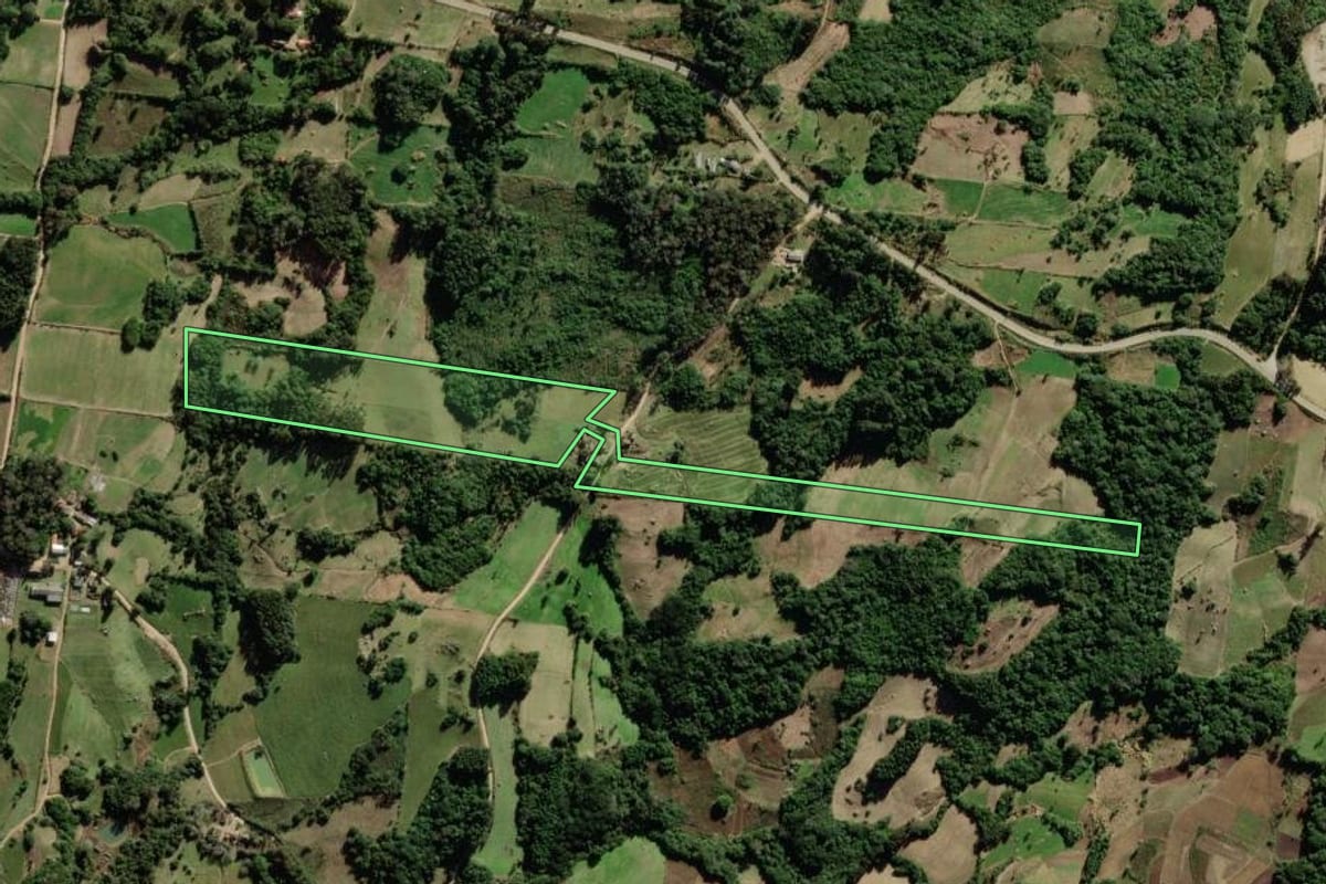 Imagem de satélite do imóvel rural em São Lourenço do Sul (RS), com o contorno declarado no CAR desenhado por cima.