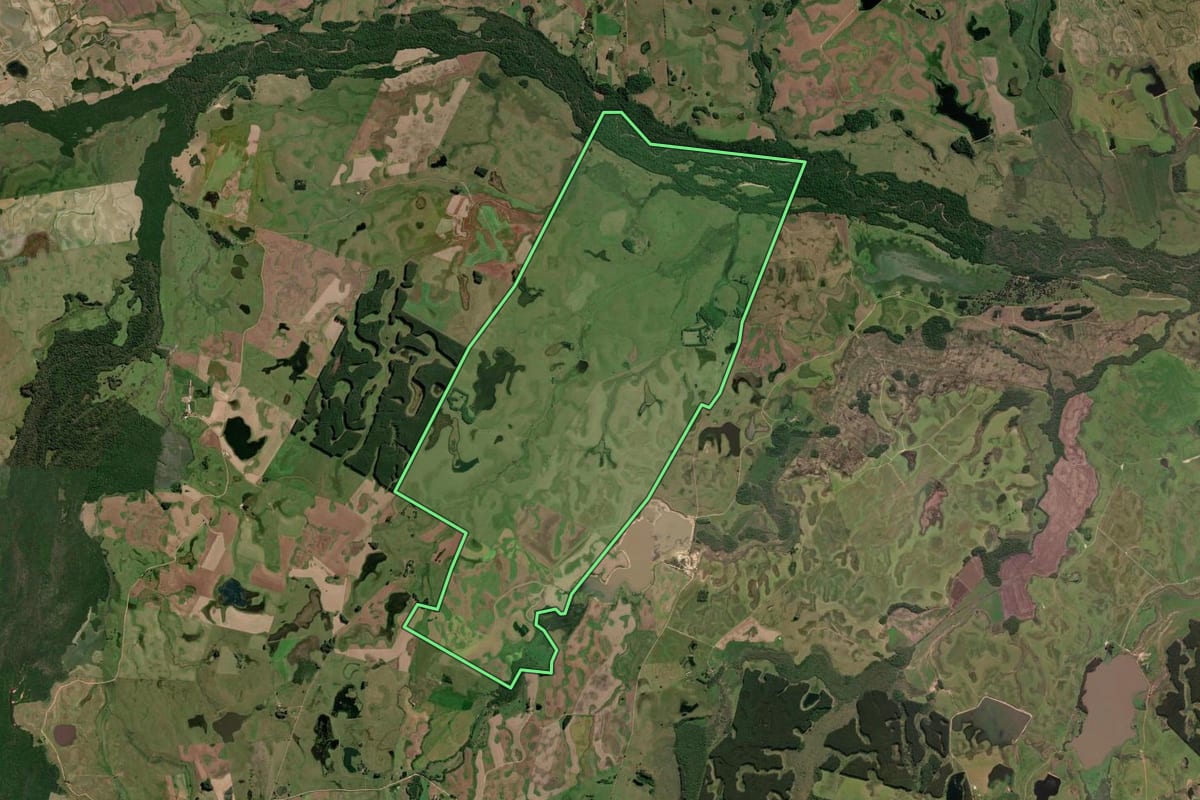 Imagem de satélite do imóvel rural em São Lourenço do Sul (RS), com o contorno declarado no CAR desenhado por cima.