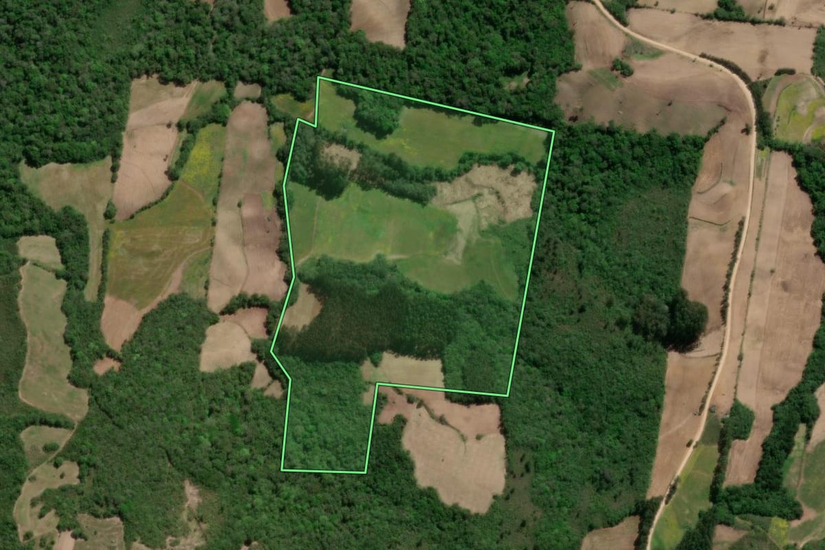 Imagem de satélite do imóvel rural em São Lourenço do Sul (RS), com o contorno declarado no CAR desenhado por cima.