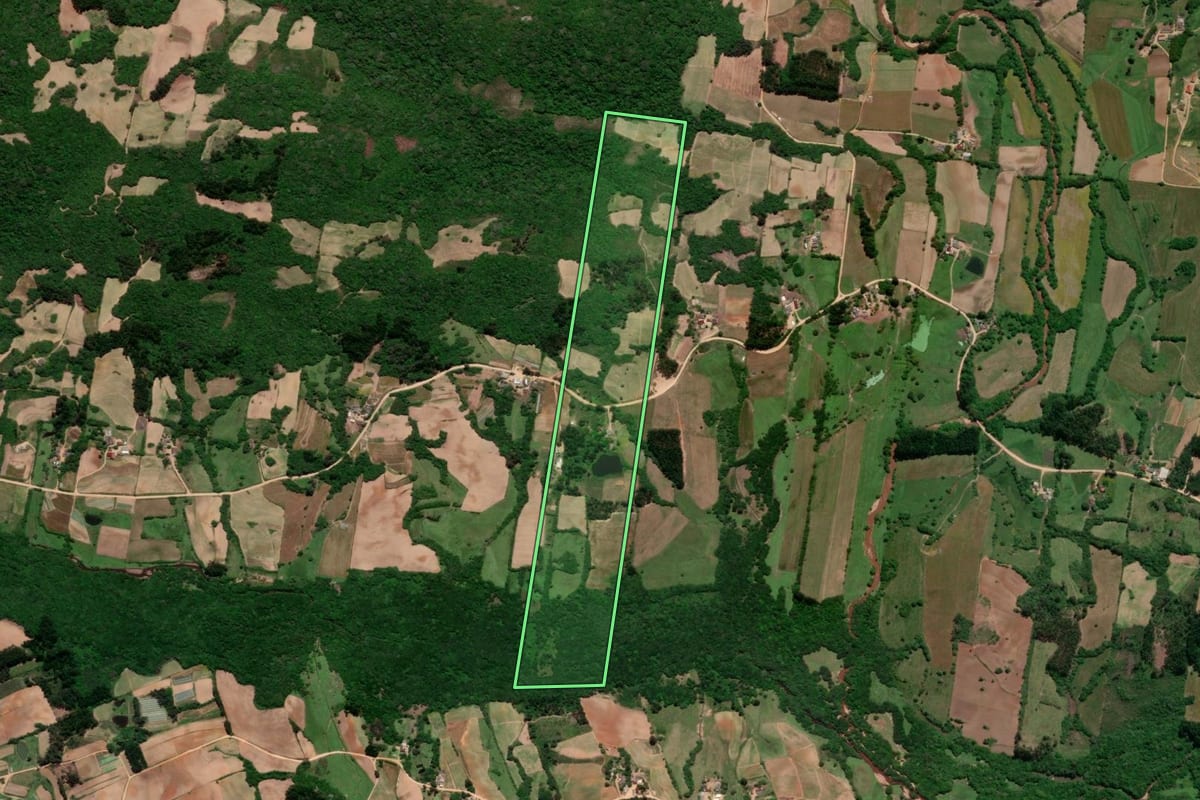 Imagem de satélite do imóvel rural em São Lourenço do Sul (RS), com o contorno declarado no CAR desenhado por cima.