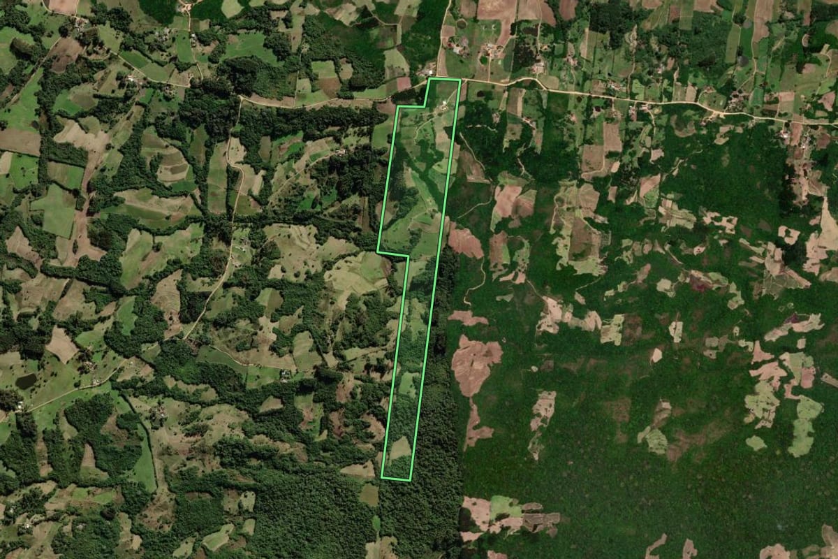 Imagem de satélite do imóvel rural em São Lourenço do Sul (RS), com o contorno declarado no CAR desenhado por cima.