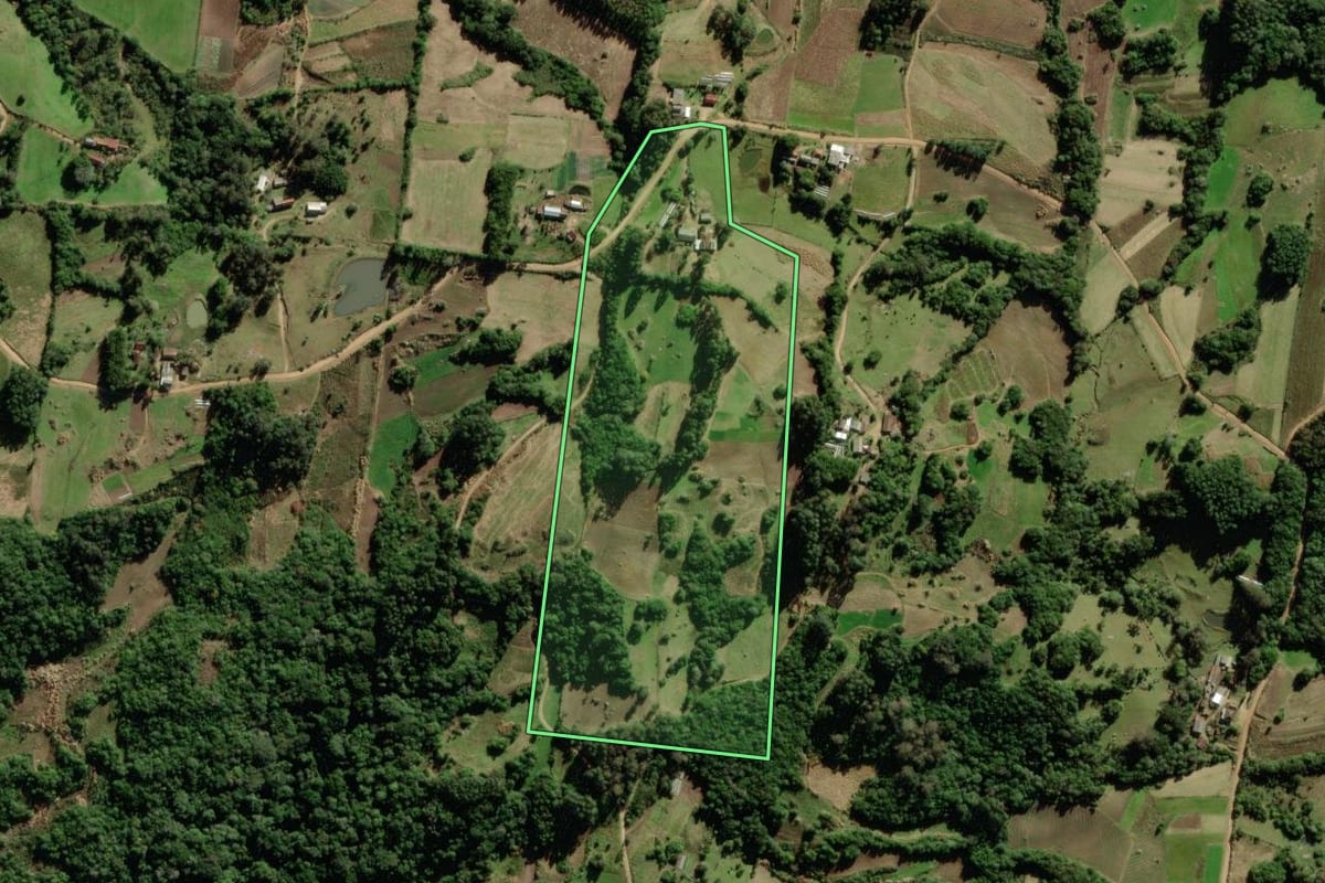 Imagem de satélite do imóvel rural em São Lourenço do Sul (RS), com o contorno declarado no CAR desenhado por cima.