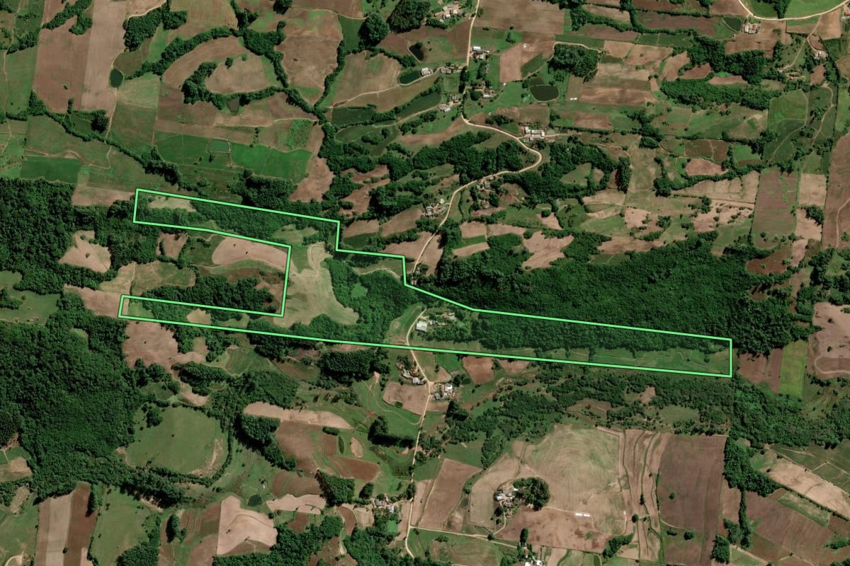 Imagem de satélite do imóvel rural em São Lourenço do Sul (RS), com o contorno declarado no CAR desenhado por cima.
