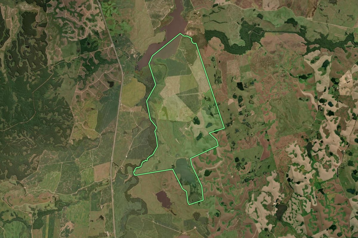 Imagem de satélite do imóvel rural em São Lourenço do Sul (RS), com o contorno declarado no CAR desenhado por cima.