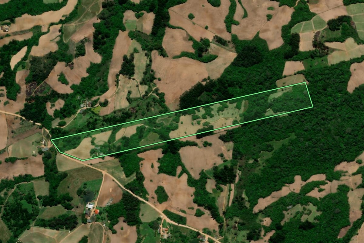 Imagem de satélite do imóvel rural em São Lourenço do Sul (RS), com o contorno declarado no CAR desenhado por cima.