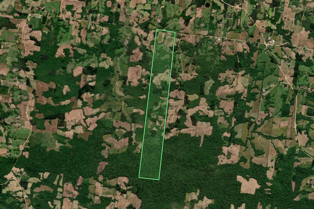 Imagem de satélite do imóvel rural em São Lourenço do Sul (RS), com o contorno declarado no CAR desenhado por cima.