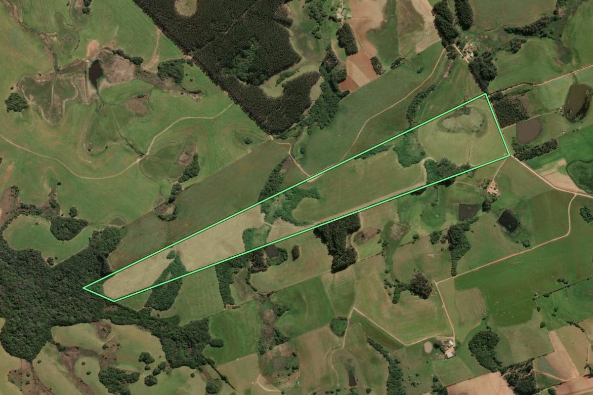 Imagem de satélite do imóvel rural em São Lourenço do Sul (RS), com o contorno declarado no CAR desenhado por cima.