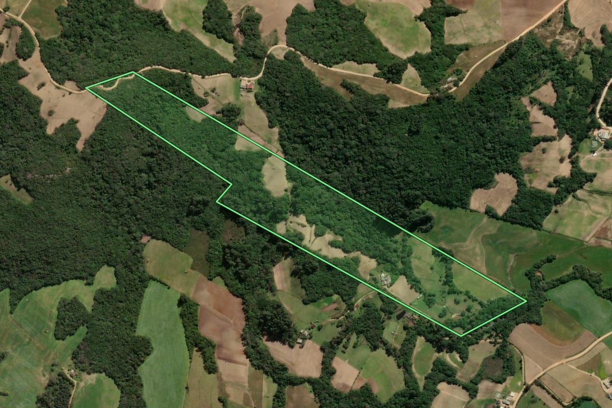 Imagem de satélite do imóvel rural em São Lourenço do Sul (RS), com o contorno declarado no CAR desenhado por cima.