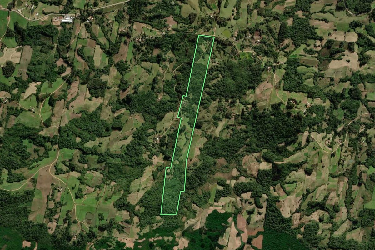 Imagem de satélite do imóvel rural em São Lourenço do Sul (RS), com o contorno declarado no CAR desenhado por cima.