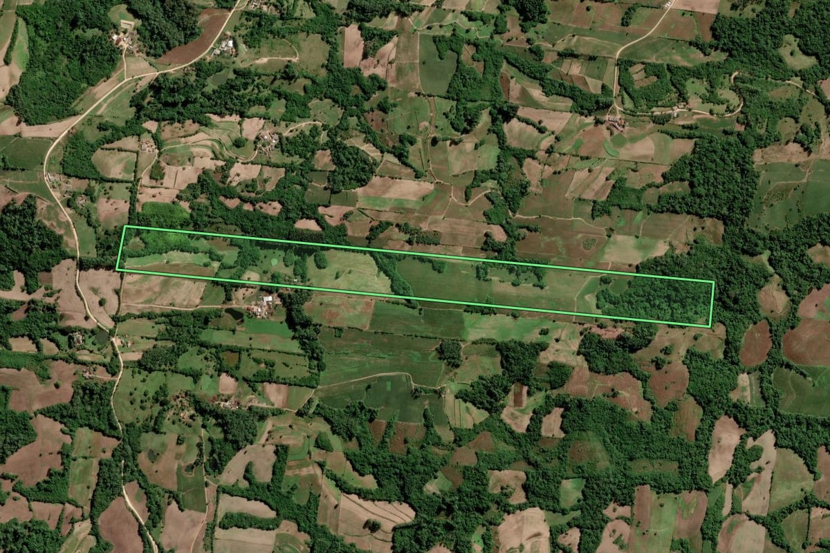 Imagem de satélite do imóvel rural em São Lourenço do Sul (RS), com o contorno declarado no CAR desenhado por cima.