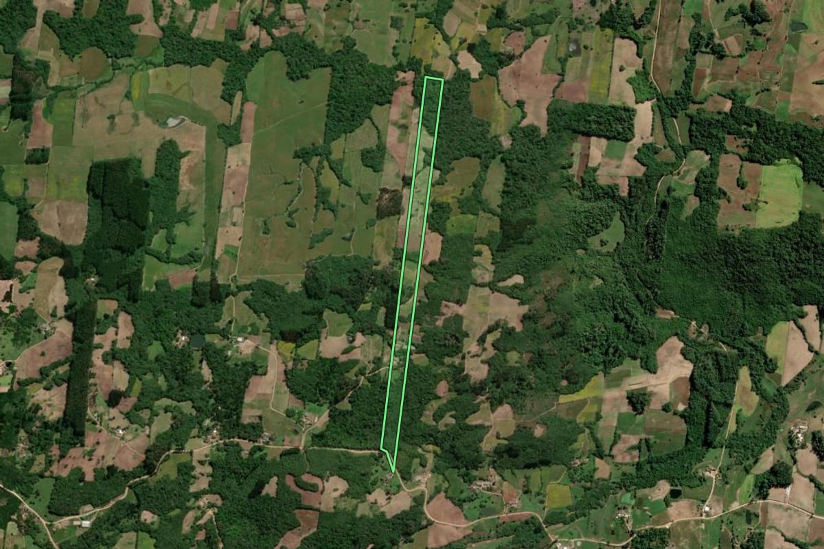 Imagem de satélite do imóvel rural em São Lourenço do Sul (RS), com o contorno declarado no CAR desenhado por cima.