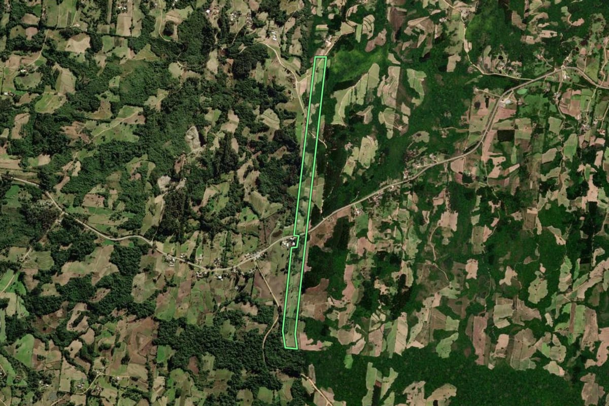 Imagem de satélite do imóvel rural em São Lourenço do Sul (RS), com o contorno declarado no CAR desenhado por cima.