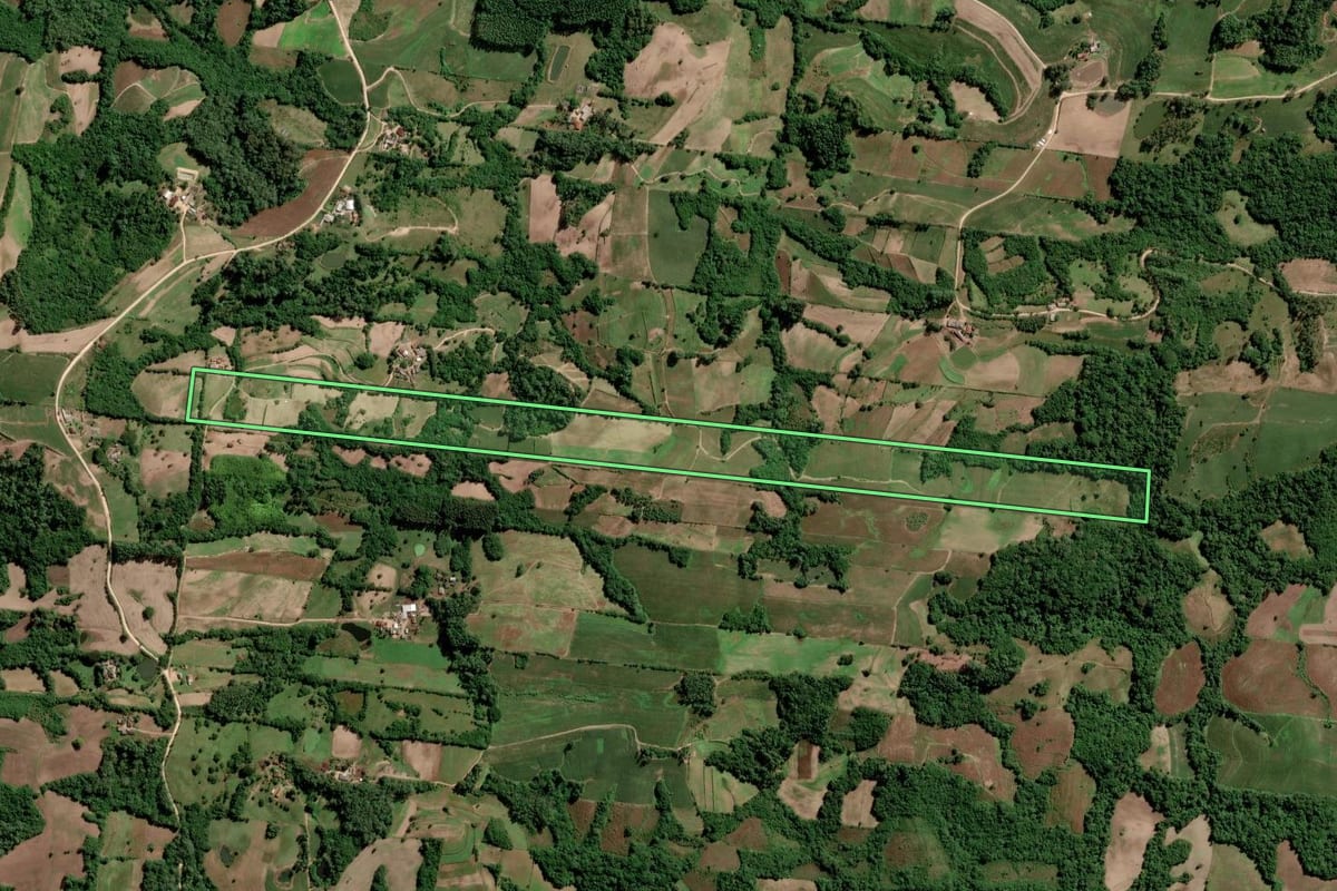 Imagem de satélite do imóvel rural em São Lourenço do Sul (RS), com o contorno declarado no CAR desenhado por cima.