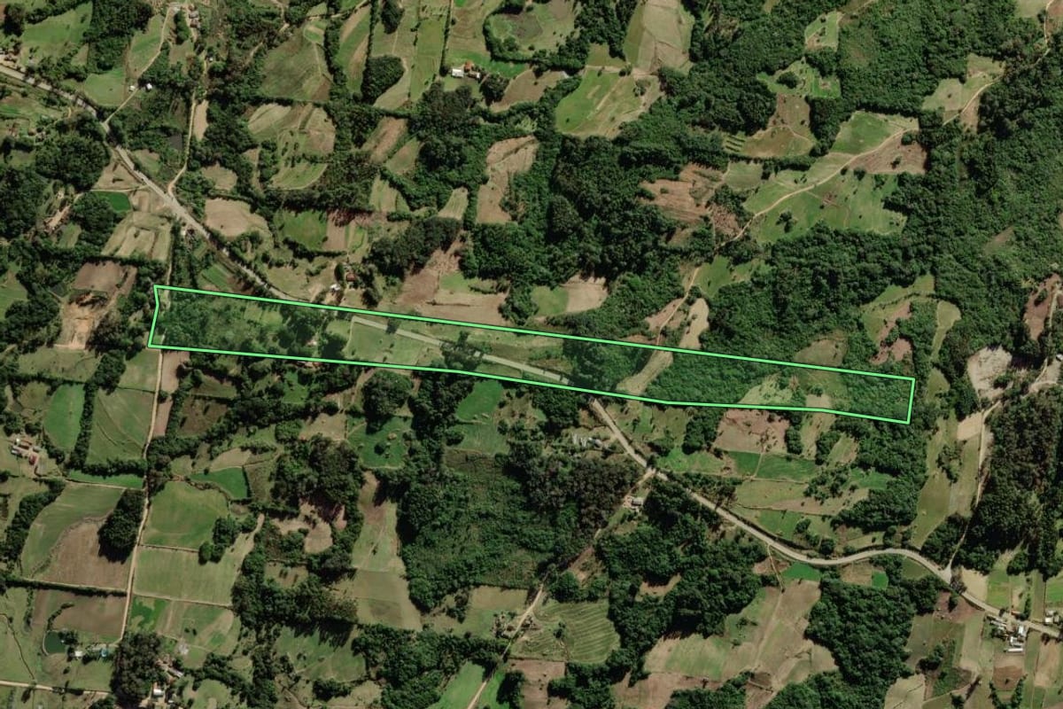 Imagem de satélite do imóvel rural em São Lourenço do Sul (RS), com o contorno declarado no CAR desenhado por cima.