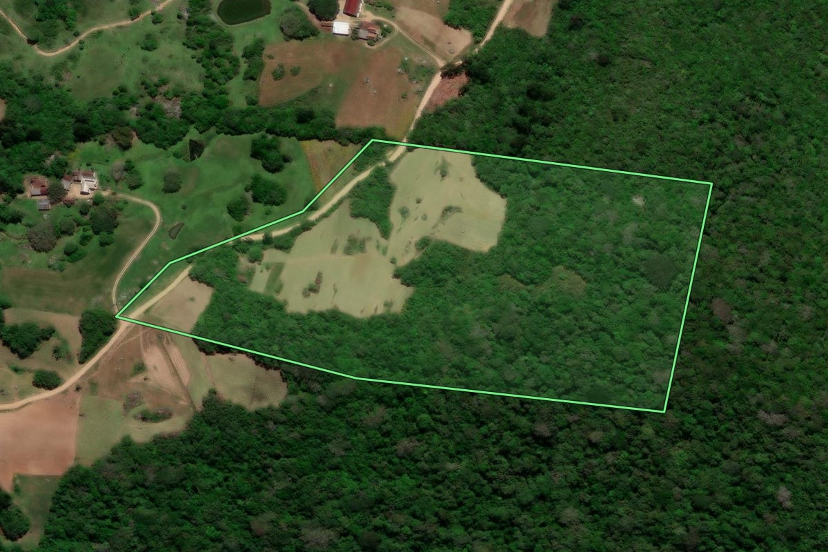 Imagem de satélite do imóvel rural em São Lourenço do Sul (RS), com o contorno declarado no CAR desenhado por cima.