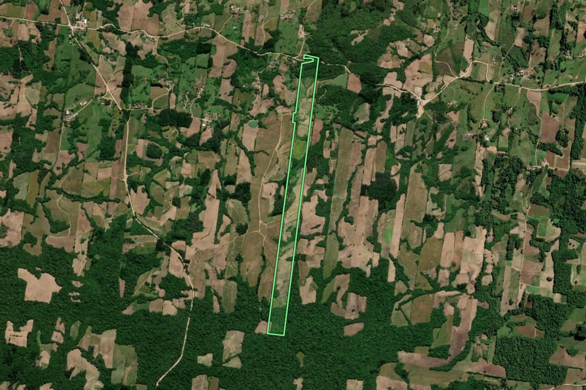 Imagem de satélite do imóvel rural em São Lourenço do Sul (RS), com o contorno declarado no CAR desenhado por cima.