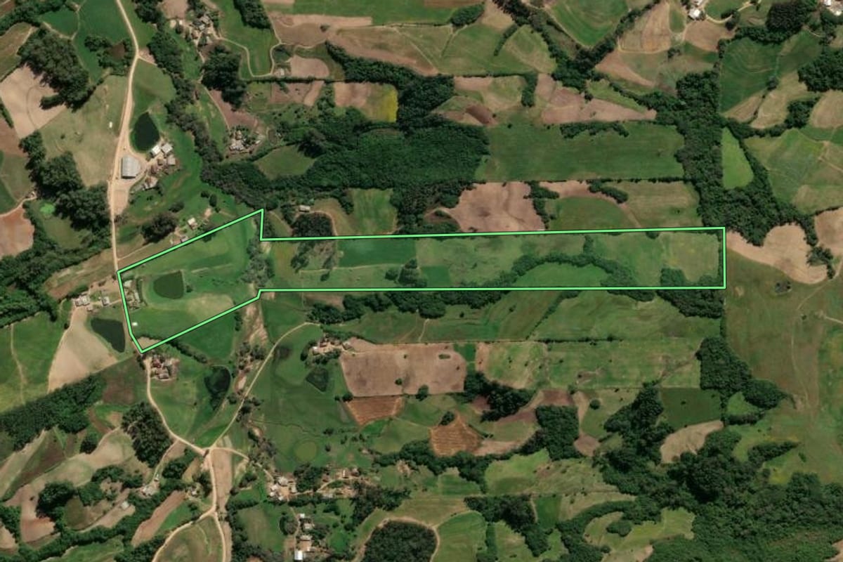 Imagem de satélite do imóvel rural em São Lourenço do Sul (RS), com o contorno declarado no CAR desenhado por cima.