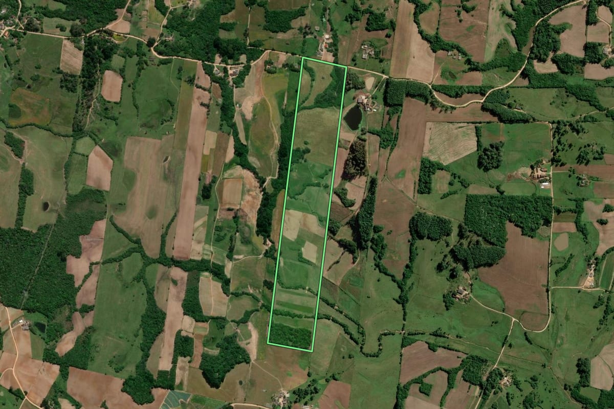 Imagem de satélite do imóvel rural em São Lourenço do Sul (RS), com o contorno declarado no CAR desenhado por cima.