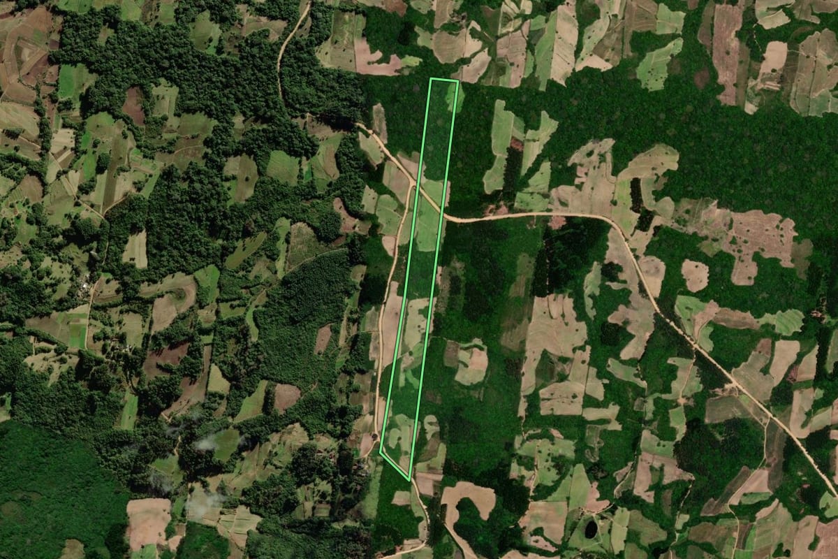 Imagem de satélite do imóvel rural em São Lourenço do Sul (RS), com o contorno declarado no CAR desenhado por cima.
