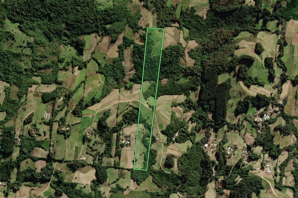 Imagem de satélite do imóvel rural em São Lourenço do Sul (RS), com o contorno declarado no CAR desenhado por cima.