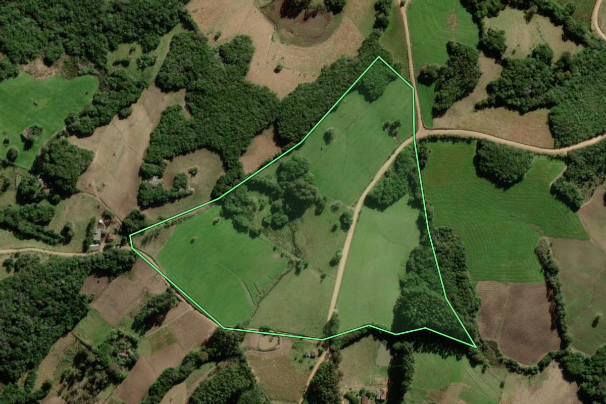 Imagem de satélite do imóvel rural em São Lourenço do Sul (RS), com o contorno declarado no CAR desenhado por cima.