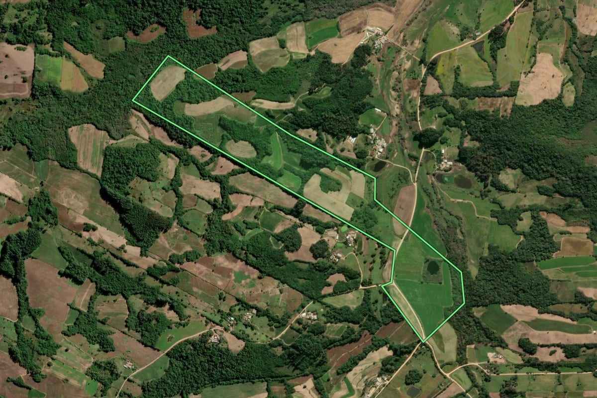 Imagem de satélite do imóvel rural em São Lourenço do Sul (RS), com o contorno declarado no CAR desenhado por cima.