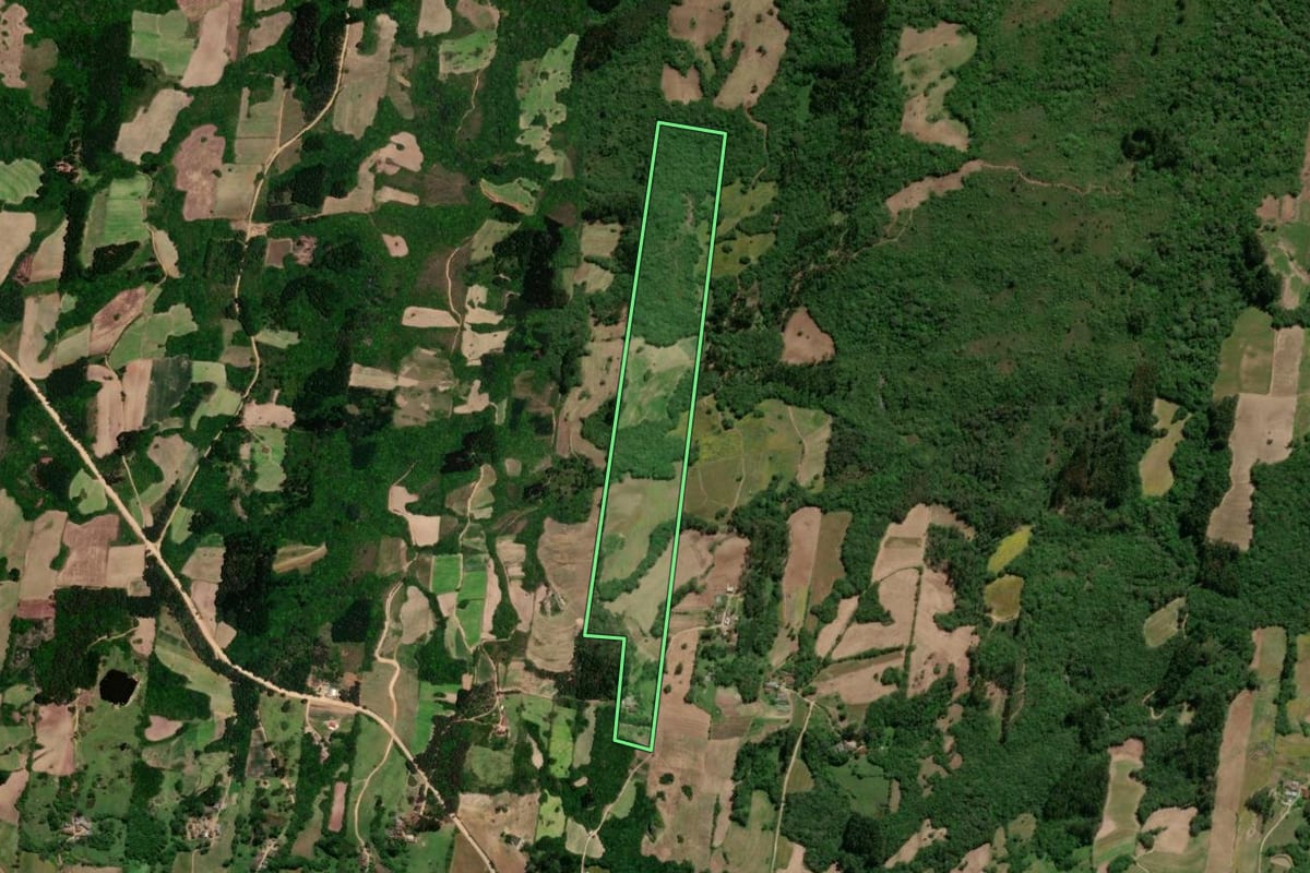 Imagem de satélite do imóvel rural em São Lourenço do Sul (RS), com o contorno declarado no CAR desenhado por cima.