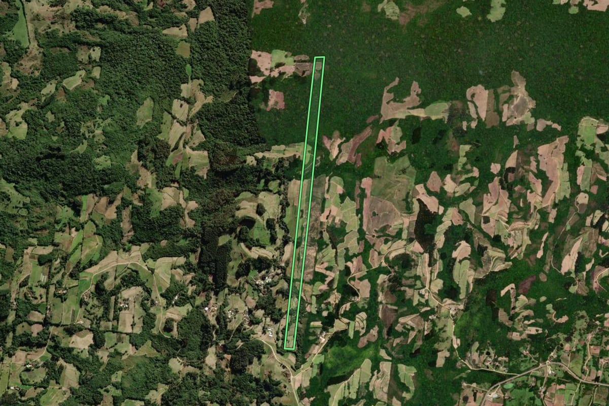 Imagem de satélite do imóvel rural em São Lourenço do Sul (RS), com o contorno declarado no CAR desenhado por cima.