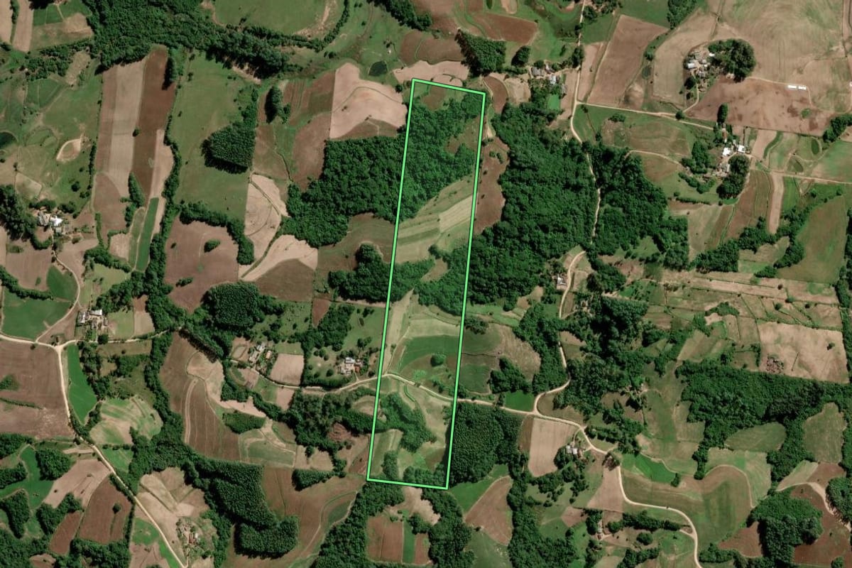 Imagem de satélite do imóvel rural em São Lourenço do Sul (RS), com o contorno declarado no CAR desenhado por cima.