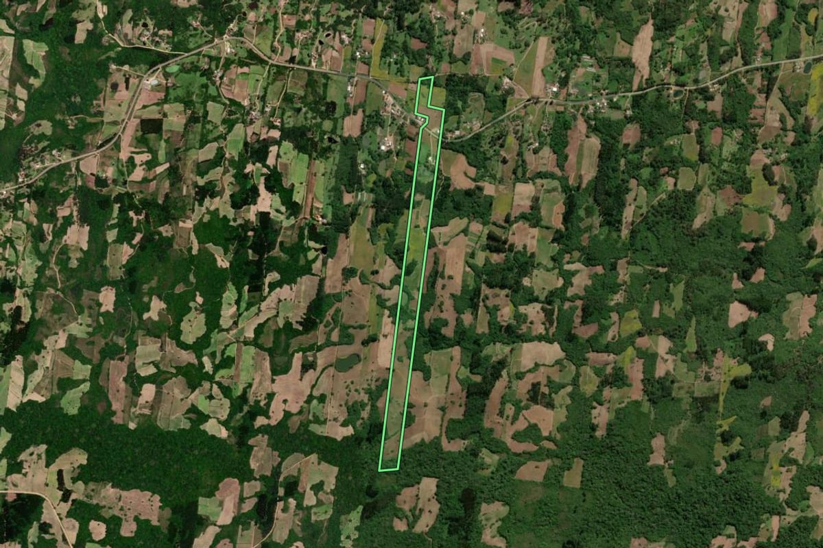 Imagem de satélite do imóvel rural em São Lourenço do Sul (RS), com o contorno declarado no CAR desenhado por cima.