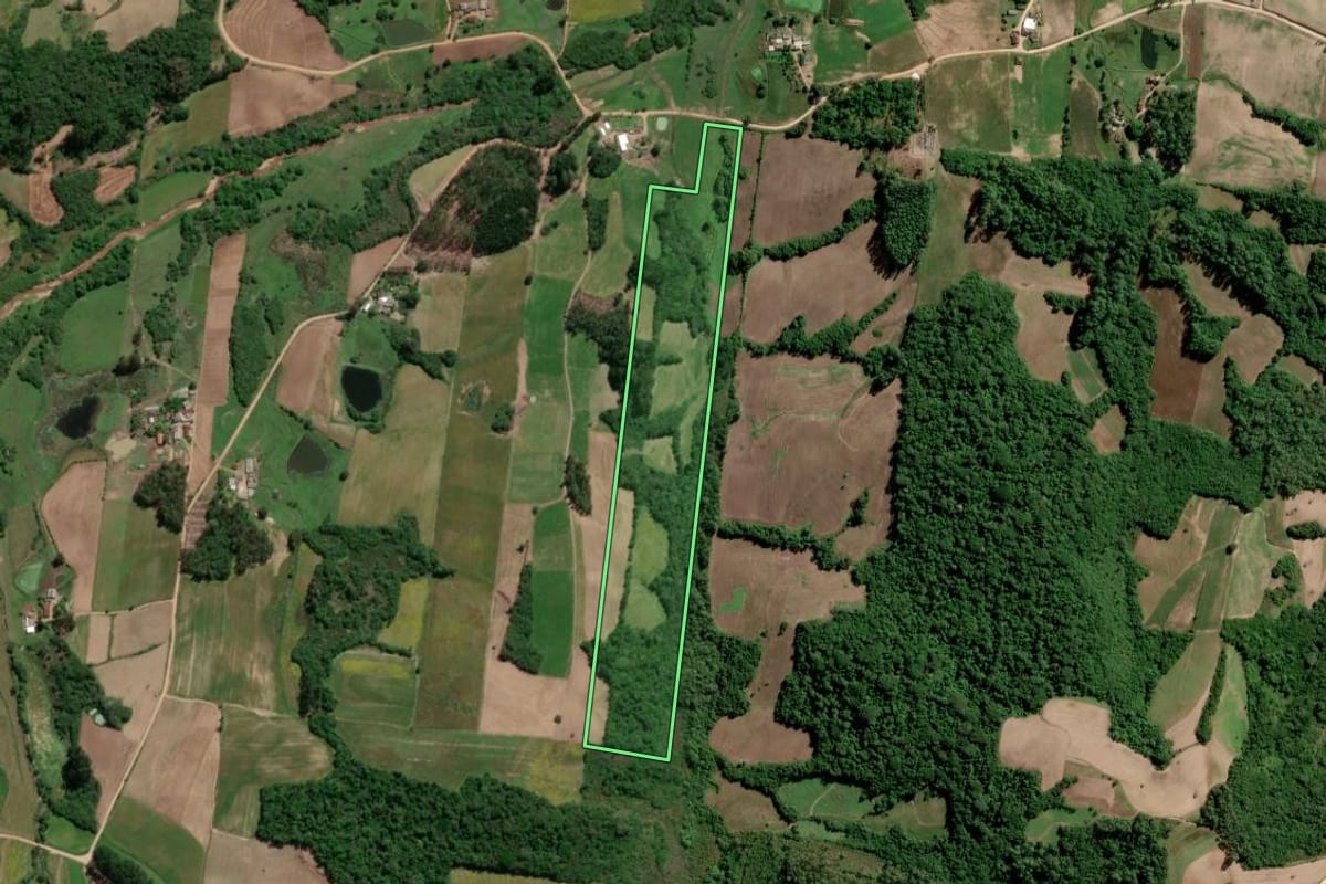 Imagem de satélite do imóvel rural em São Lourenço do Sul (RS), com o contorno declarado no CAR desenhado por cima.