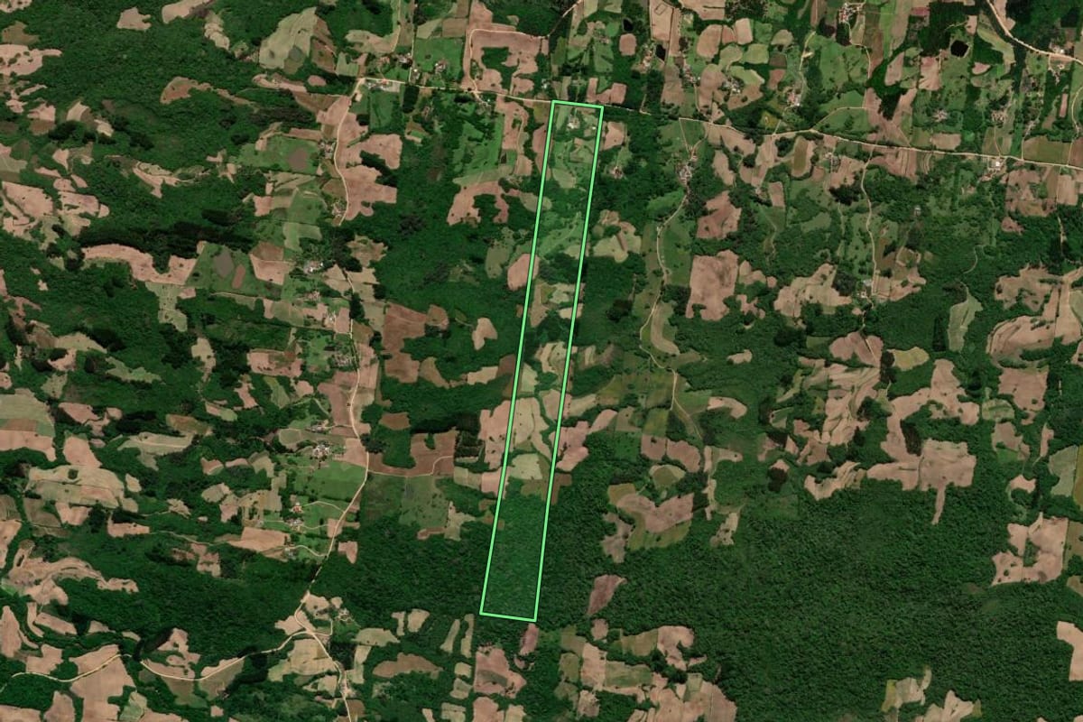 Imagem de satélite do imóvel rural em São Lourenço do Sul (RS), com o contorno declarado no CAR desenhado por cima.