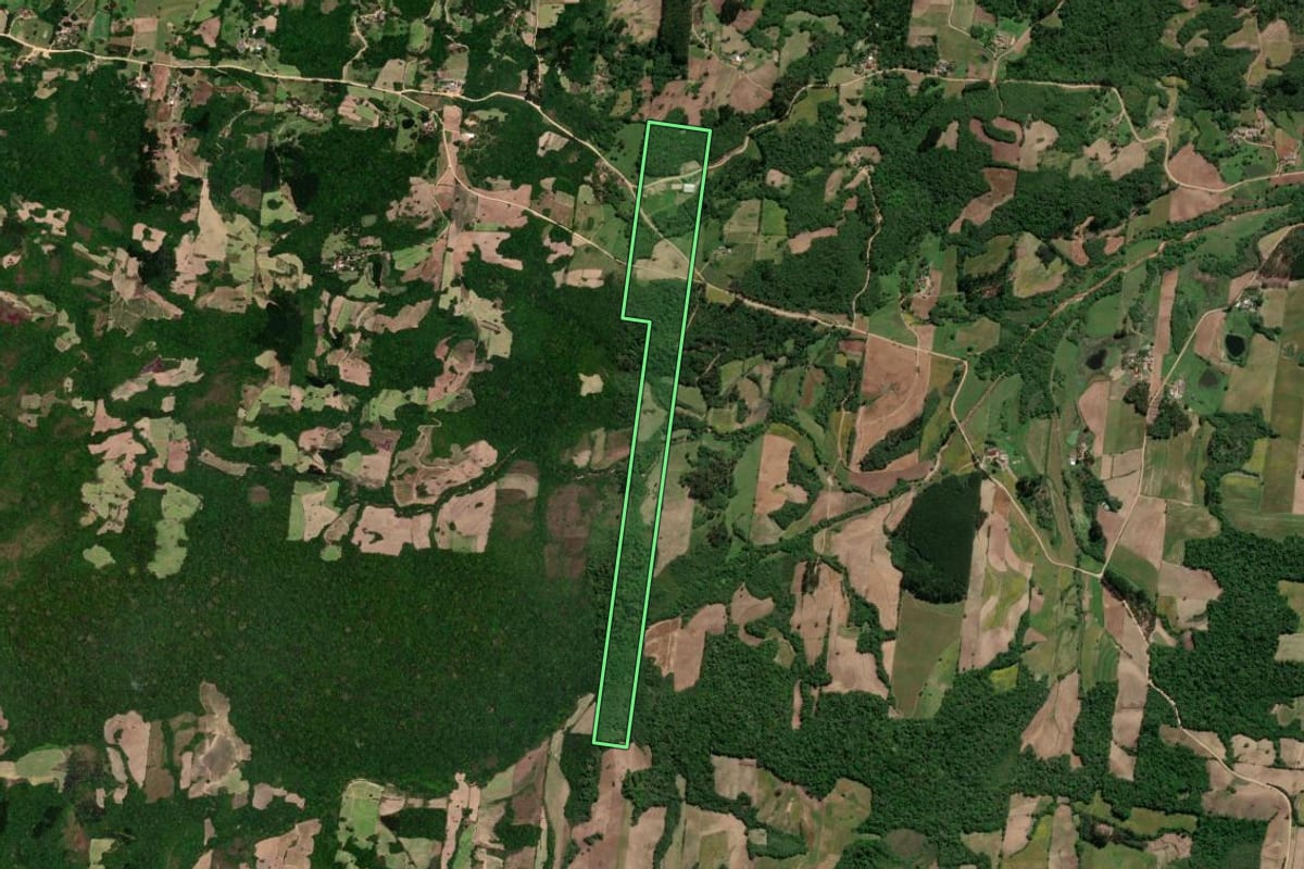 Imagem de satélite do imóvel rural em São Lourenço do Sul (RS), com o contorno declarado no CAR desenhado por cima.