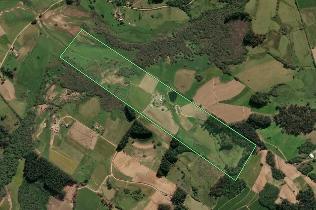 Imagem de satélite do imóvel rural em São Lourenço do Sul (RS), com o contorno declarado no CAR desenhado por cima.