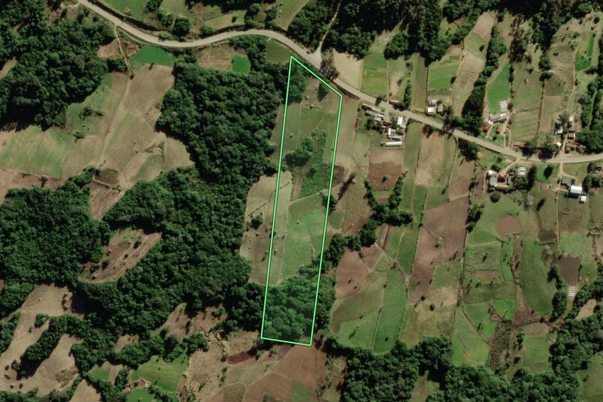Imagem de satélite do imóvel rural em São Lourenço do Sul (RS), com o contorno declarado no CAR desenhado por cima.
