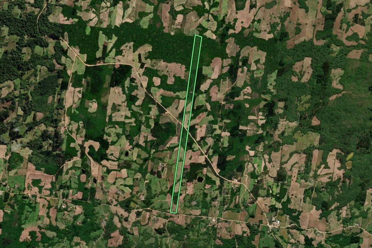 Imagem de satélite do imóvel rural em São Lourenço do Sul (RS), com o contorno declarado no CAR desenhado por cima.