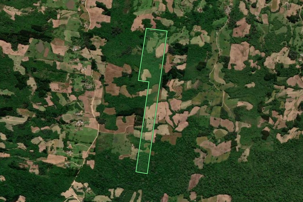 Imagem de satélite do imóvel rural em São Lourenço do Sul (RS), com o contorno declarado no CAR desenhado por cima.