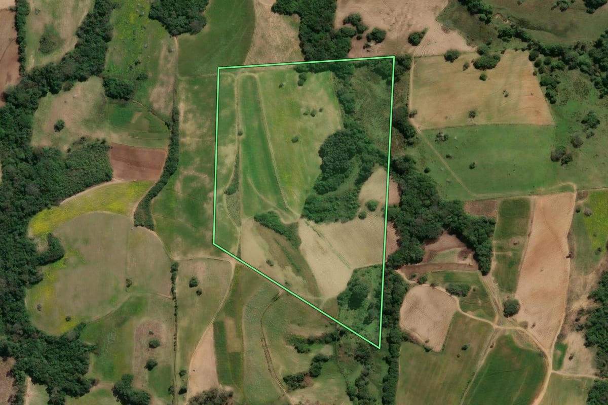 Imagem de satélite do imóvel rural em São Lourenço do Sul (RS), com o contorno declarado no CAR desenhado por cima.